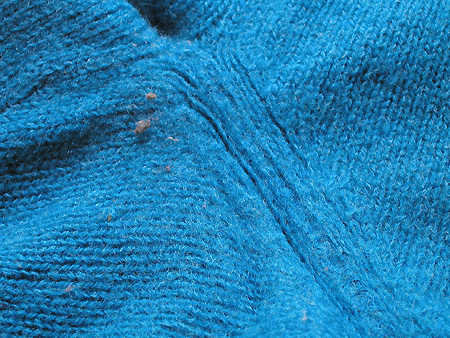 毛玉取りブラシ