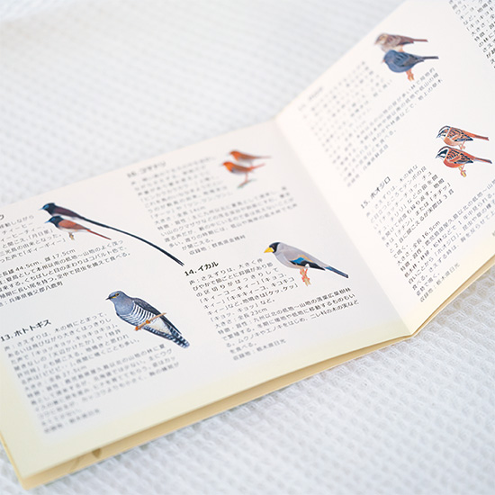 野鳥の会の目覚まし時計